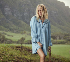 HMD -- WING DRESS -- PARISIAN CHAMBRAY